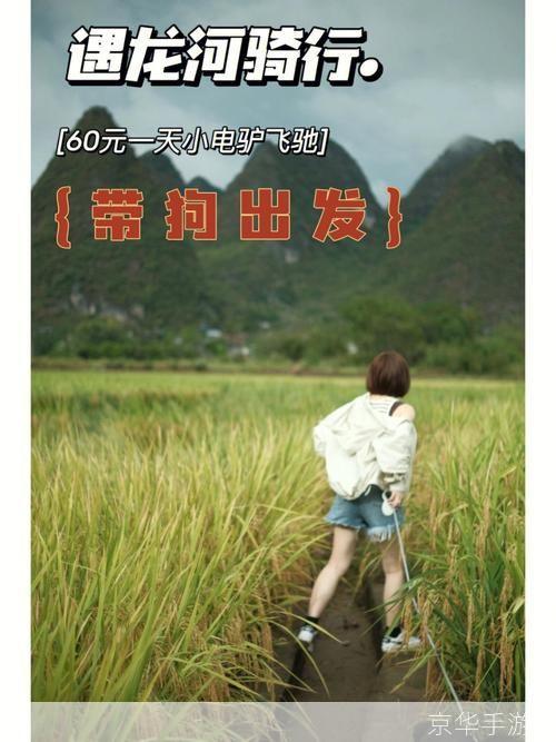 电驴基地的使用方法详解