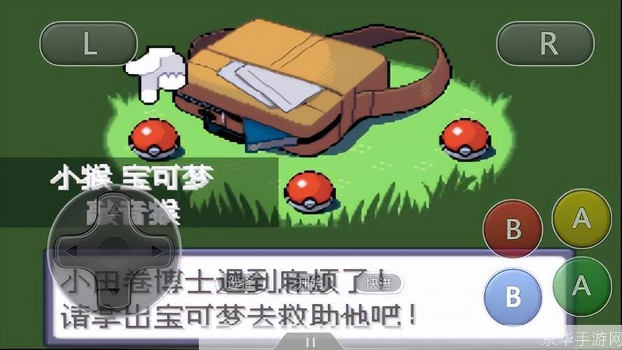 详细步骤指南:如何安装和运行口袋妖怪游戏