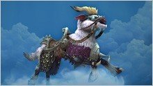 魔兽世界：征战战场，赢取追风坐骑