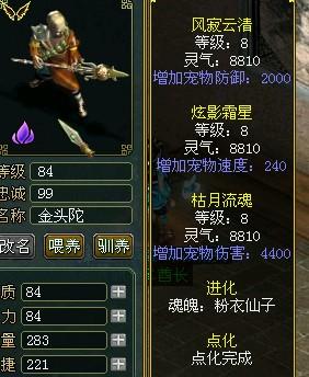 问道金头陀：打造最强攻击宠物的秘诀与技巧