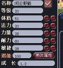 普陀山加点攻略：不同玩法下的属性分配建议