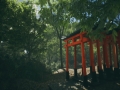 模拟美景摄影 免安装绿色版