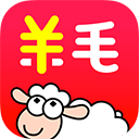 胖柚