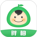 胖柚
