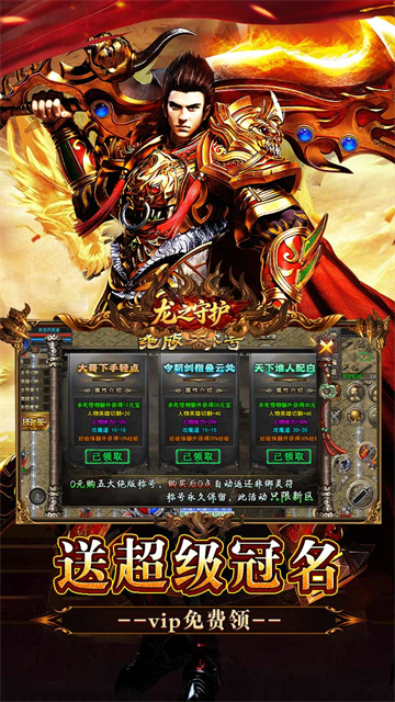 龙之守护