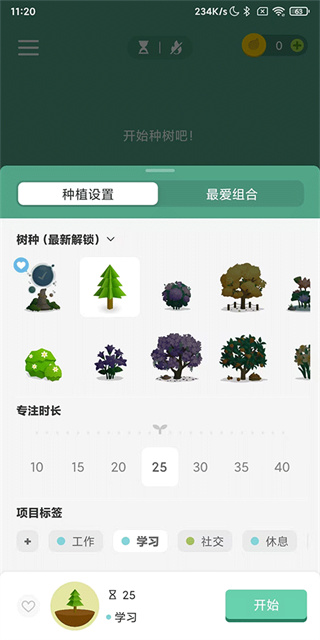 forest专注森林