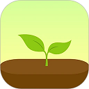 forest专注森林