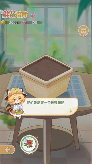明星花店
