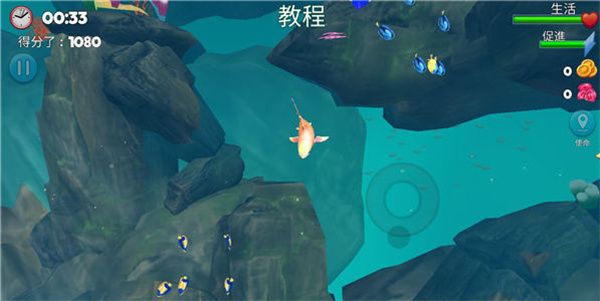 双头鲨中文版