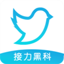 谜底黑胶
