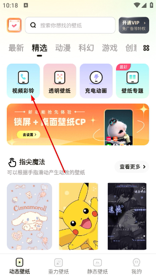 皮皮动态壁纸纯净版