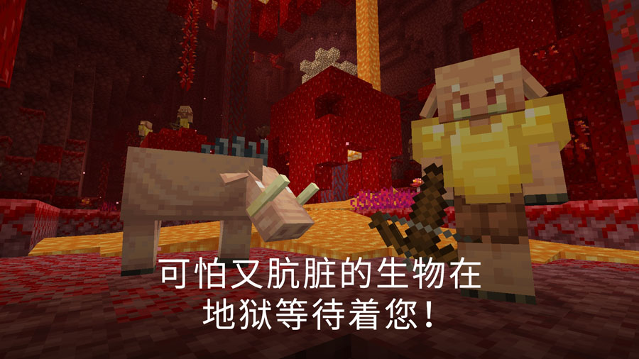 我的世界基岩版官网