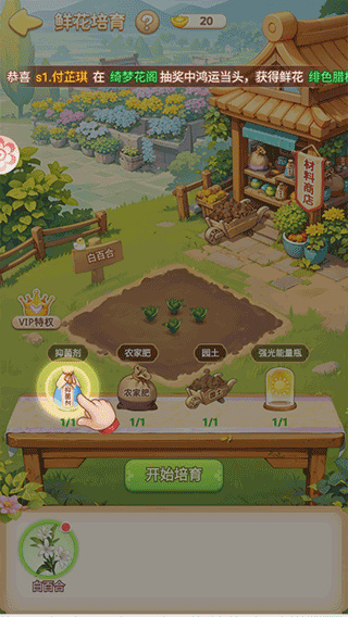我的花园世界官方