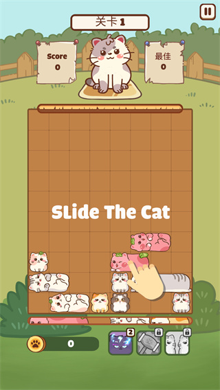 滑猫