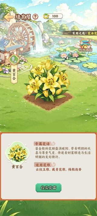 解忧花店官网版