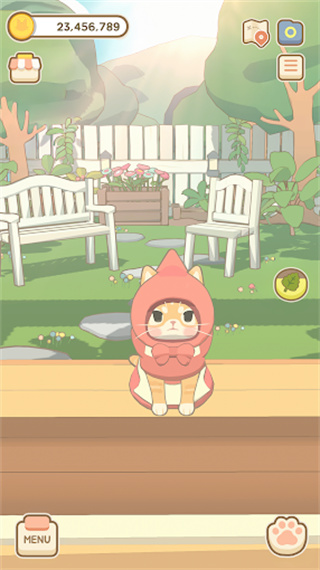 窗外的猫