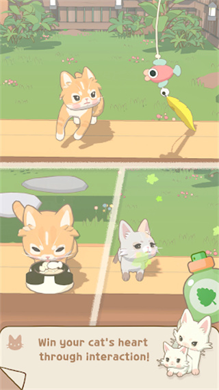 窗外的猫
