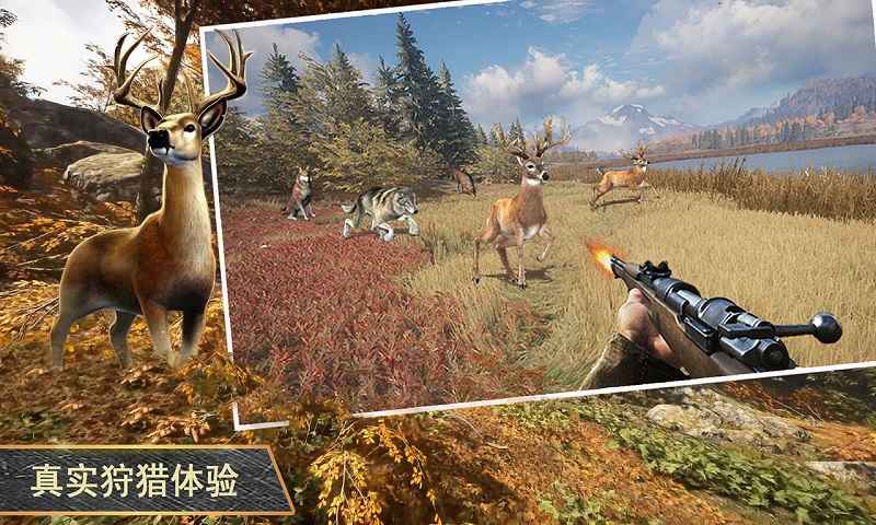 终极猎人3D无限钞票破解版1.02内购版截图2