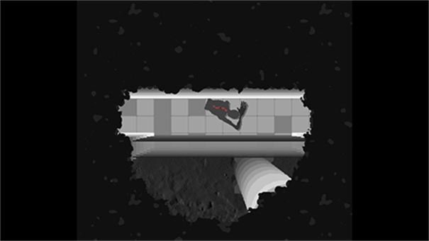 体内寄生虫2游戏截图3