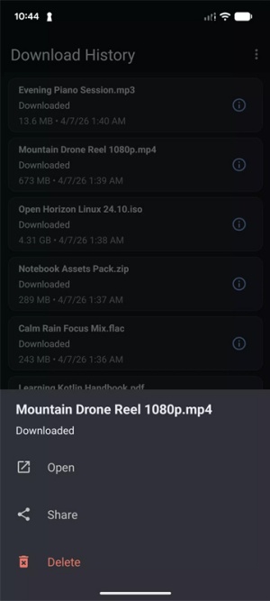 万能下载器v3.6.6截图2