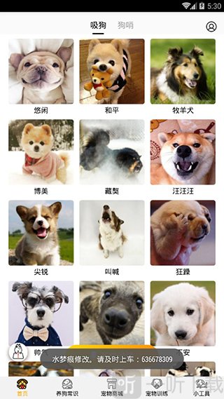 狗语翻译器app最新版下载截图1