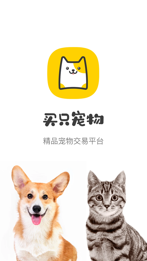 买只宠物截图3