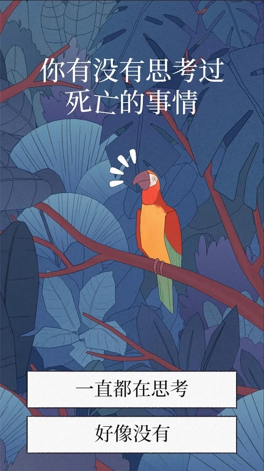 孤独的鸟儿最新版4.0截图4