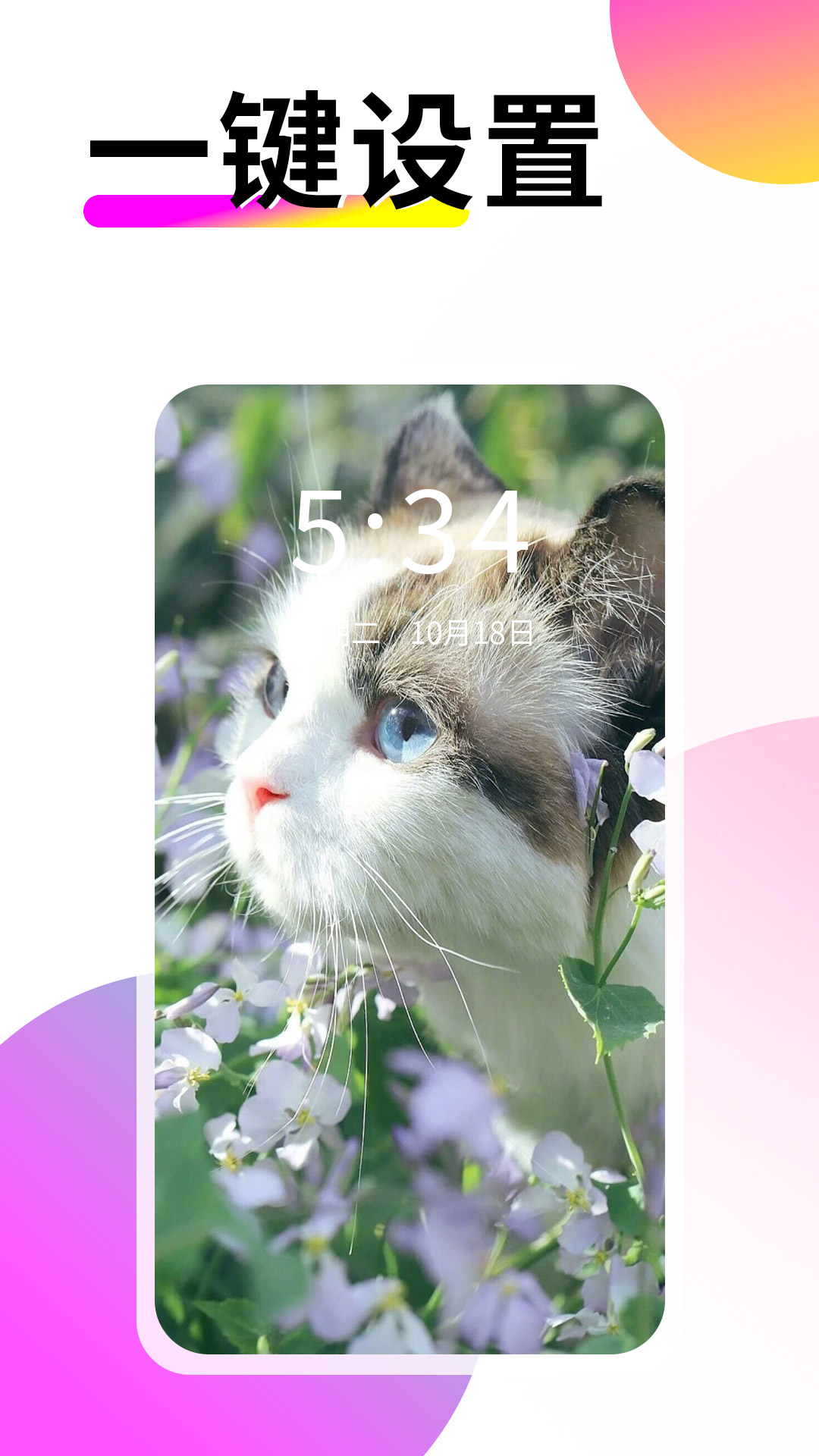 壁纸酷酷app截图3