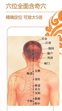 经络养生v4.1.2新版介绍截图3