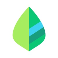 薄荷记账app