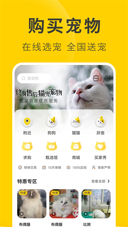 买只宠物截图1