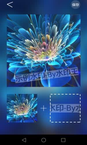水印王 水印王