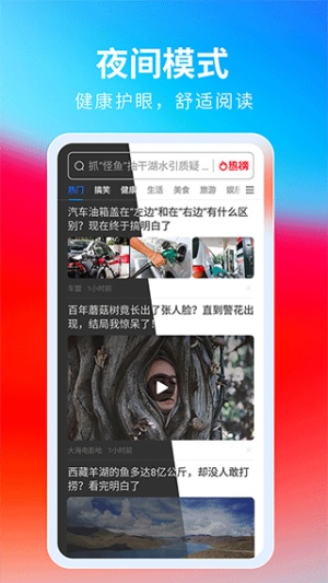 飞觅浏览器截图3