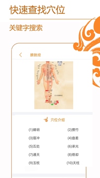 经络养生v4.1.2新版介绍截图5