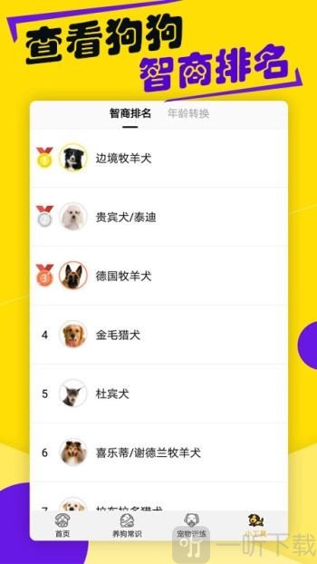 狗语翻译器app最新版下载截图5