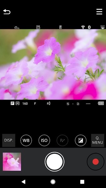 松下LUMIX Sync官方版截图1