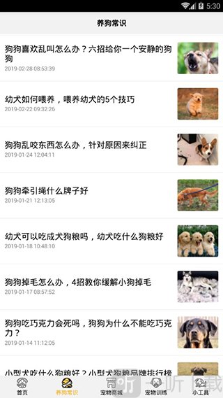 狗语翻译器app最新版下载截图3