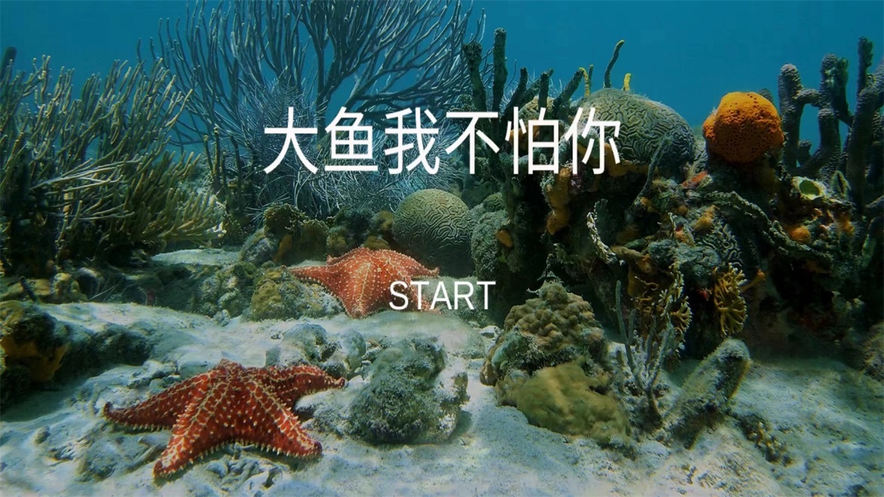 大鱼我不怕你游戏截图1