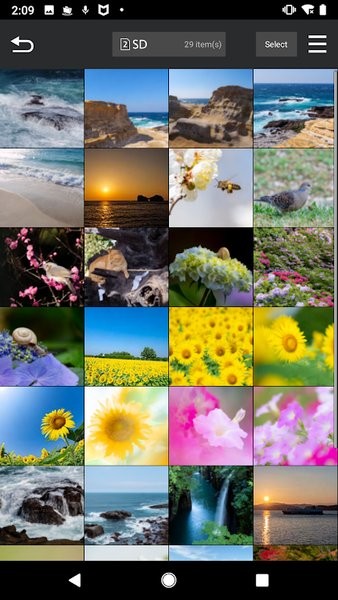 松下LUMIX Sync官方版截图3