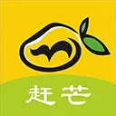 赶芒app官方版