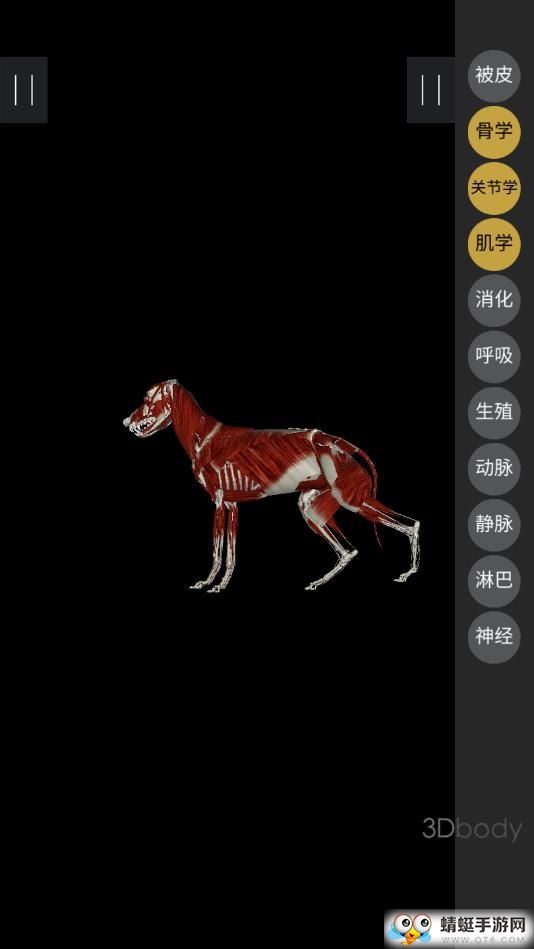 3Dbody宠物app下载截图3
