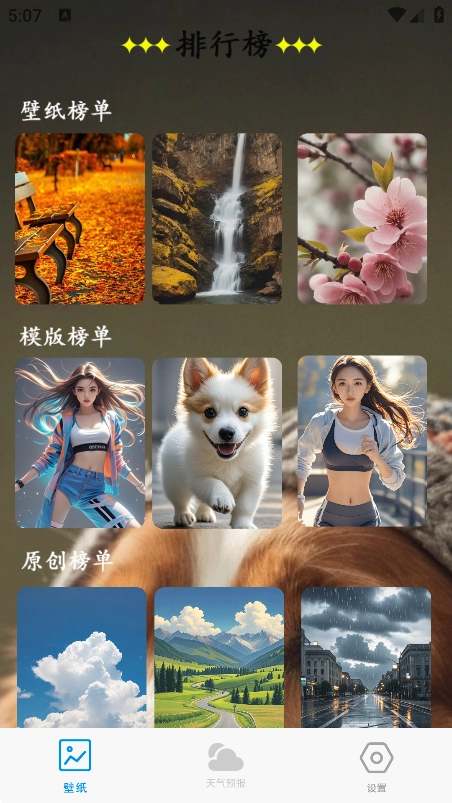口袋壁纸v5.4下载截图3