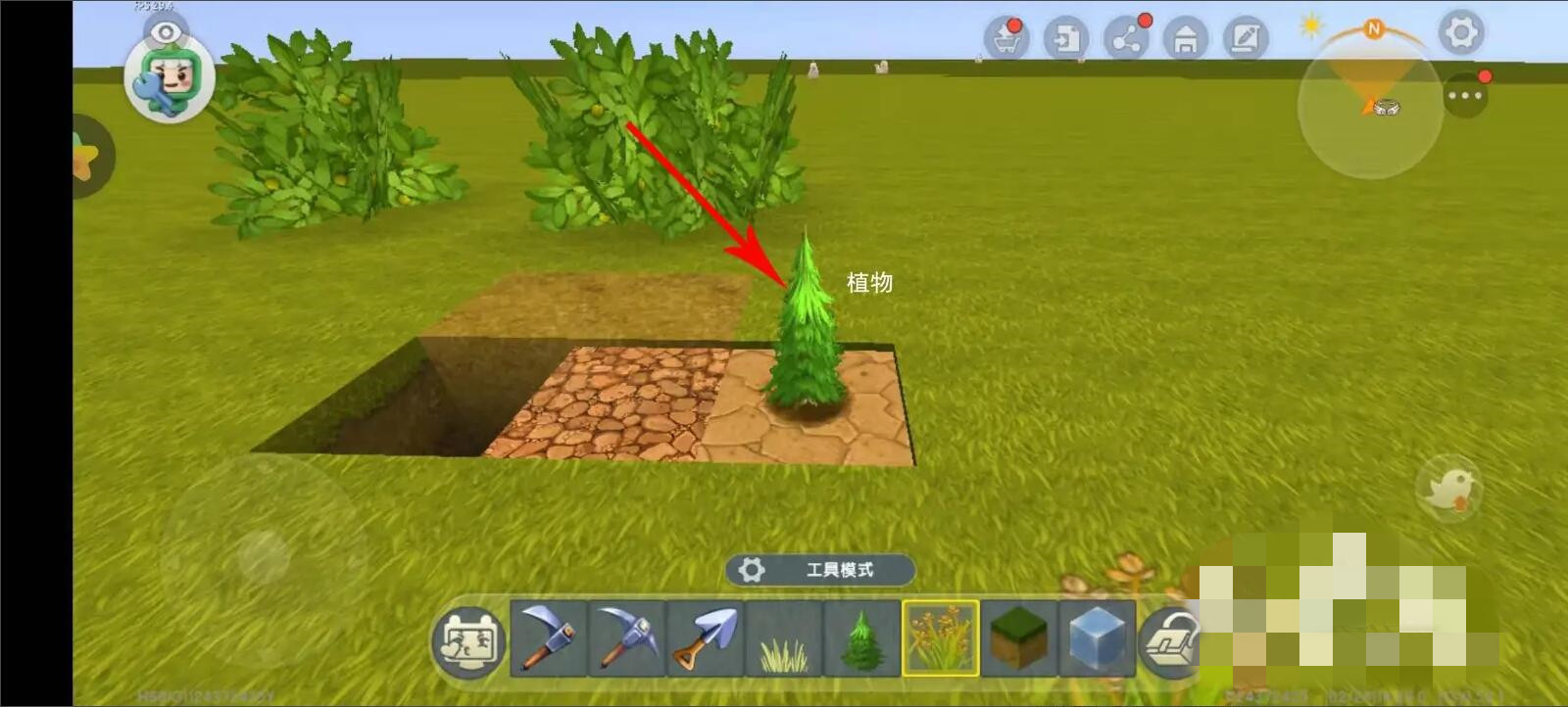 迷你世界种植总失败？植物与作物正确下种方法一看就会